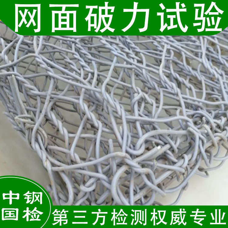 廣西中鐵十局柔性防護網檢測成功案例